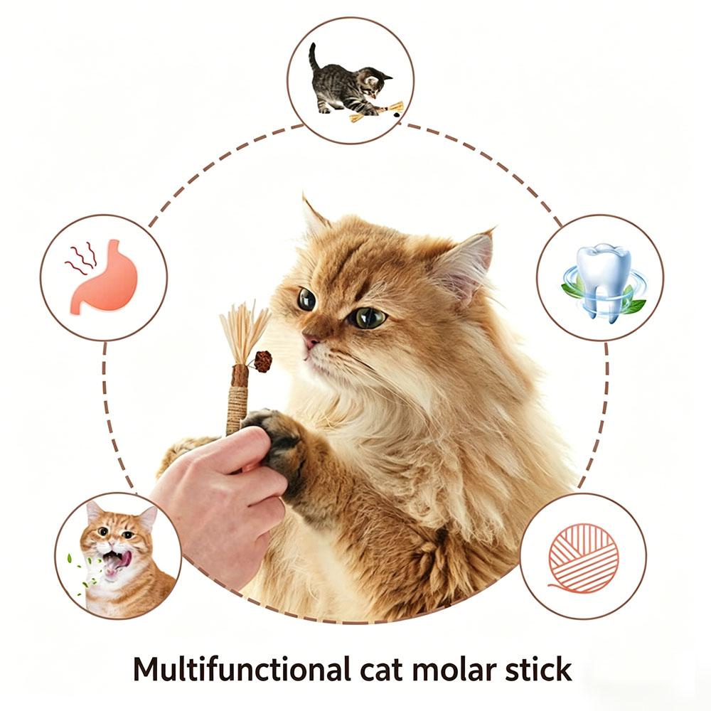 5 PCS Natural Silvervine Sticks for Cats, Raffia Matatabi Cat Chew Toys for Teeth Cleaning, Edible Dental Molar Sticks for Kitten Hairball Relief
