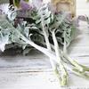 1шт искусственный Senecio Cineraria поддельные растения фото реквизит DIY домашний офис декор