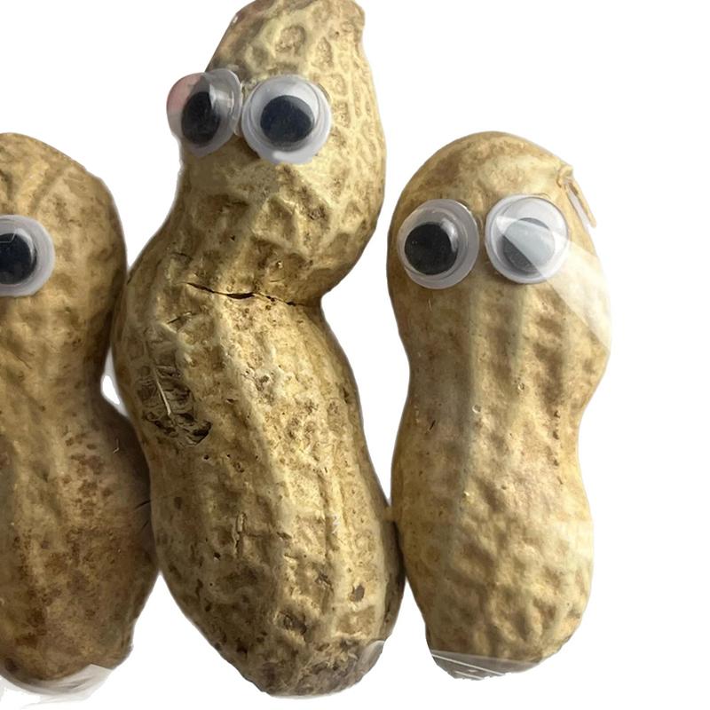 Подарок для друга Deez Nuts Смешное праздничное украшение Смешной арахис в очках Набор орехов Новинка Deez Nuts Настольное украшение