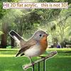 Птичий садовый декоративный колышек акриловый 2D плоский декоративный колышек для птиц дворовое искусство устойчивый к погодным условиям колышек для птиц на открытом воздухе газоны патио
