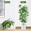 Outdoor Plant Trellis Metal Climbing Plant Stakes Houseplants Support Trellis Planter Insert Frame Trellis for Potted Ivy