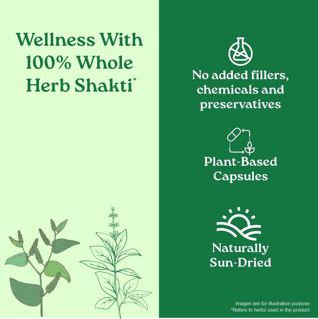 ORGANIC INDIA Breathe Free 60 растительных капсул для комфортного дыхания, облегчения заложенности и поддержки легких, натуральная травяная формула