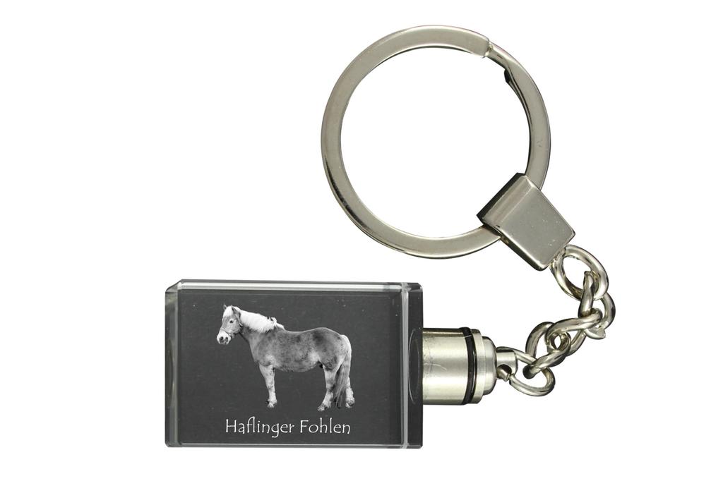 Haflinger Fohlen - Crystal Pendant with Photo of a Horse, Illuminated Pendant, Unique Gift by Art-Dog Brand