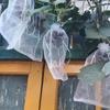 100pcs Mesh Grapes Fruit Grow Bags Breathable Grape Protection Cover  For Pest Control Anti-Bird