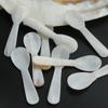 1PC Kitchen Tool Seashells Spoon Spoon Caviar Spoons Natural Conch Shell Spoon Coffee Scoop