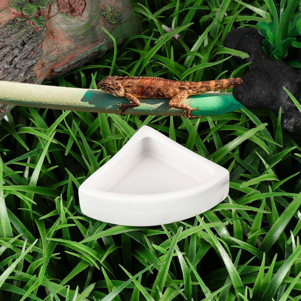 Kisangel Reptile Feeding 2 Также Может Использоваться В Качестве Поилки Для Разведения Амфибий Керамическая Миска Для Рептилий Миска, Части, Фонтан, Чехол, Аксессуары,