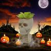 Halloween Skull Flower Pot No See Speak Hear Creepy Skull