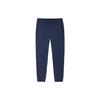 Training Series Solid Color Logo Drawstring Straight Leg Cuffed Nine-Point Sports Pants Men Pants Midnight-Blue 152327306-2