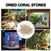 1 пакет дробленого коралла для пресноводного аквариума, фильтрующий материал для аквариума, коралловые камни