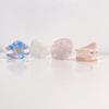 Ocean Animal Mini Hairpin Acetate Small Hairgrips Simple Shell Shape Hair Clips  Female/Children