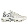 Air Max Plus Пепельно-серый DZ3671-104