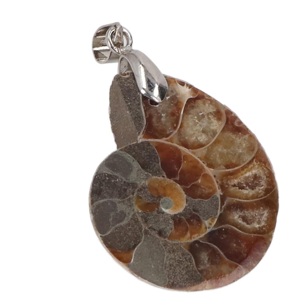 Подвеска из ракушки аммонита, ручная работа, винтажная подвеска из натурального аммонита для женщин и мужчин, подарок