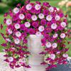 2pcs UV-Resistant Artificial Hanging Petunia & Eucalyptus Flowers , Weatherproof, Indoor/Outdoor Decor for Weddings, Porch, Patio, Garden Decorations