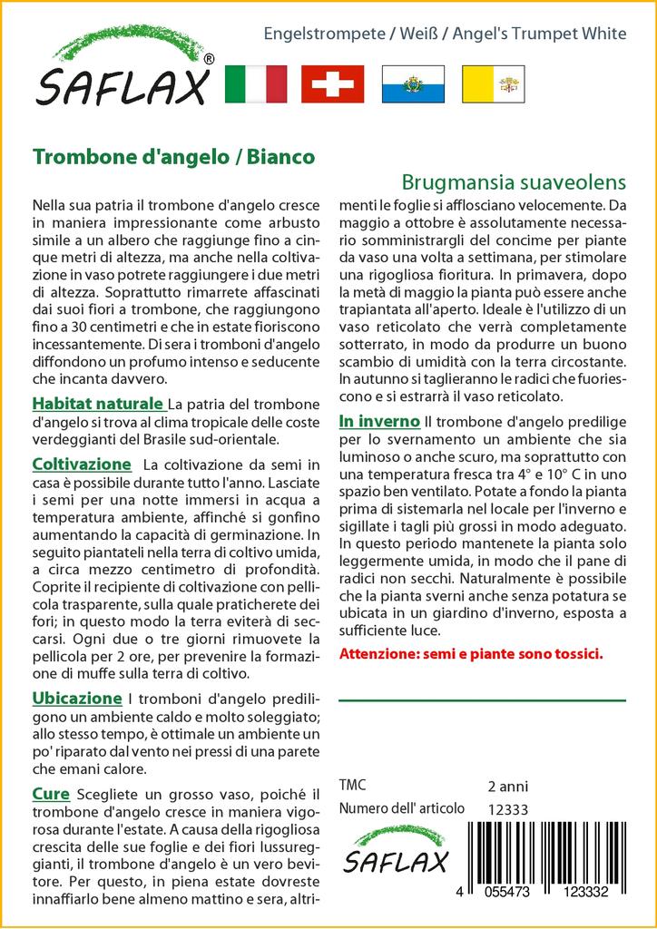 SAFLAX Angel's Trumpet White - 10 семян - Brugmansia suaveolens