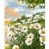 Frame Diy Acrylic Paint By Numbers For Starter Kits Daisy Handicrafts Number Painting Flowers For Home Decors 40x50