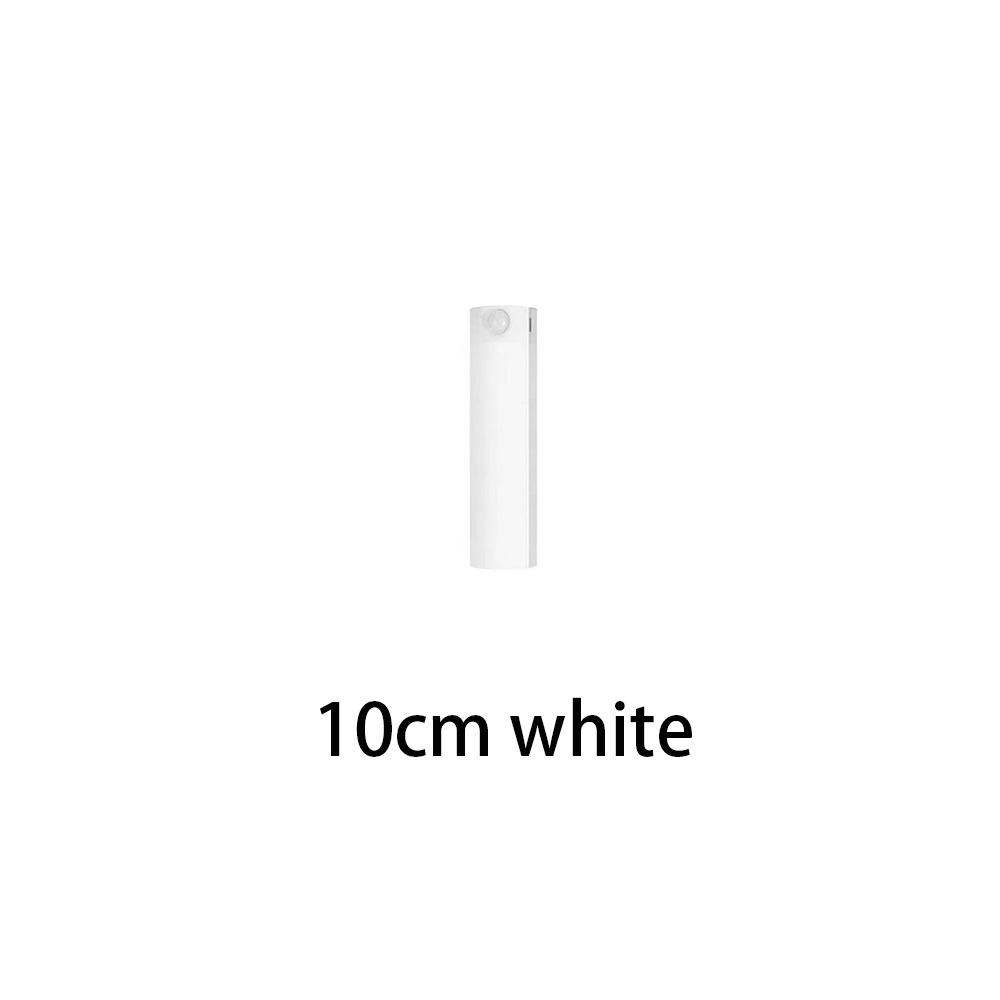 USB Charging LED Lamp Intelligent Magnetic Wardrobe Light New Human Body Induction Light Strip