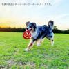 JW Pet Hol-ee Roller Dog Ball Medium Red Direct from Japan