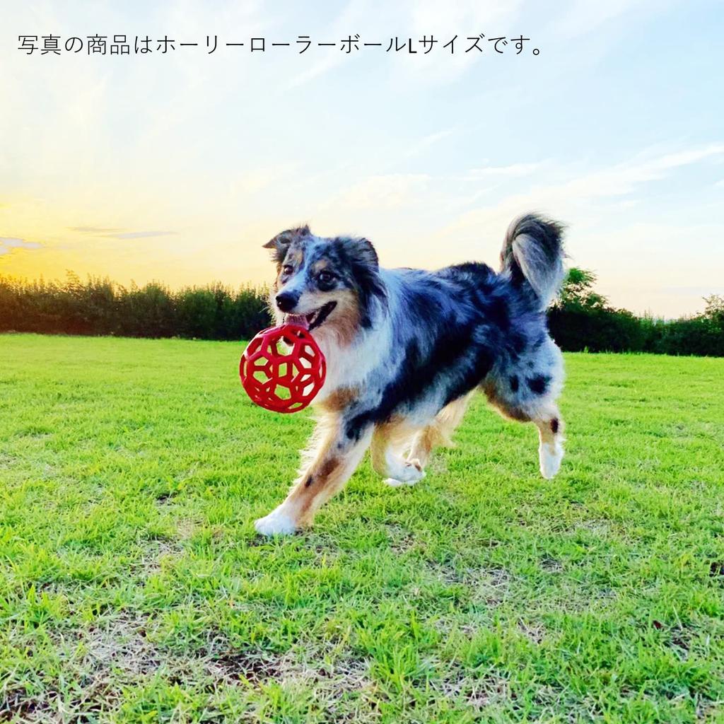 JW Pet Hol-ee Roller Dog Ball Medium Red Direct from Japan