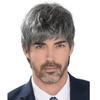 European and American Men's High-temperature Synthetic Fiber Wig Daily Use Natural Looking Short Curly Fluffy Gray Wig