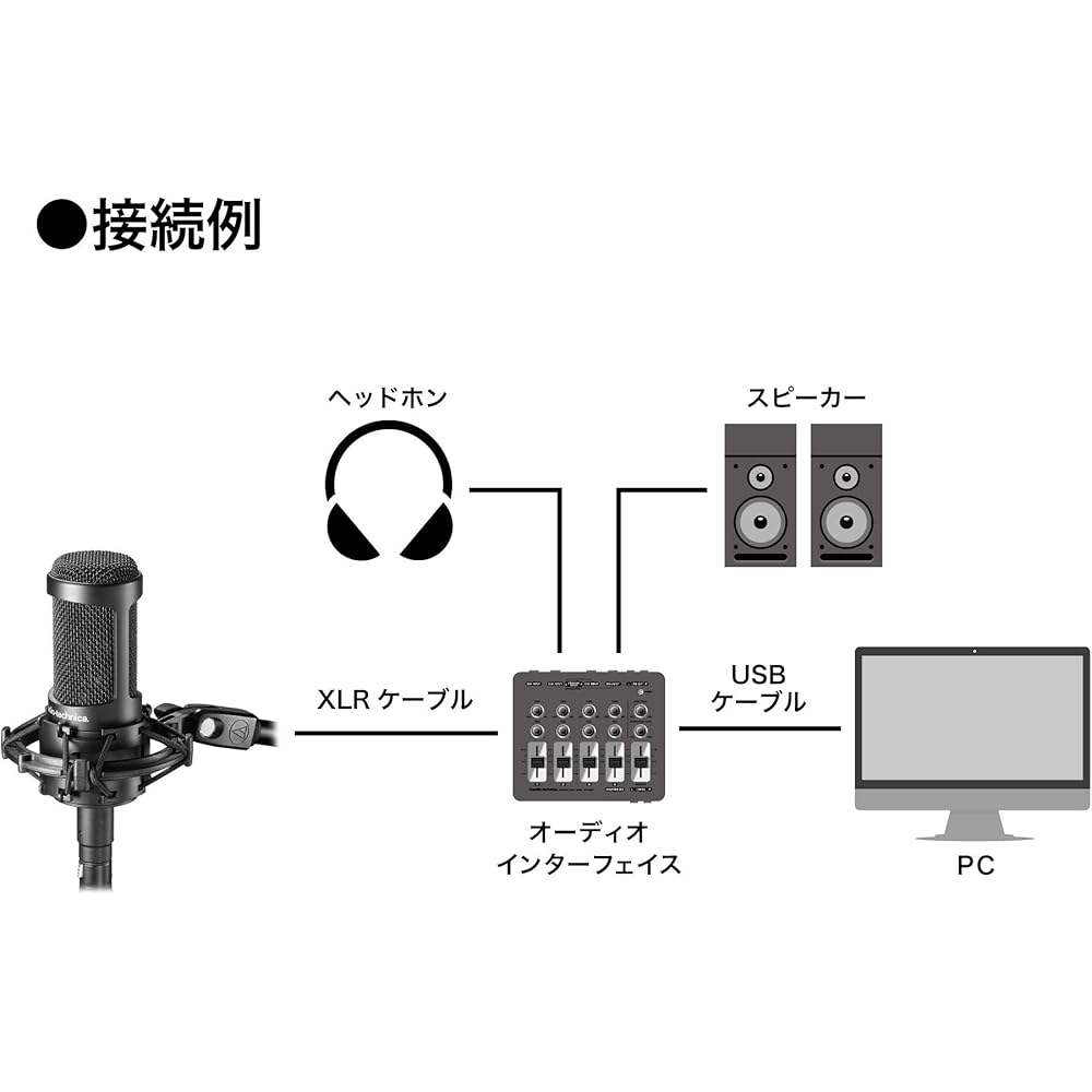 Конденсаторный микрофон Audio-Technica AT2050 XLR Кардиоидный Двунаправленный Всенаправленный с амортизатором Черный