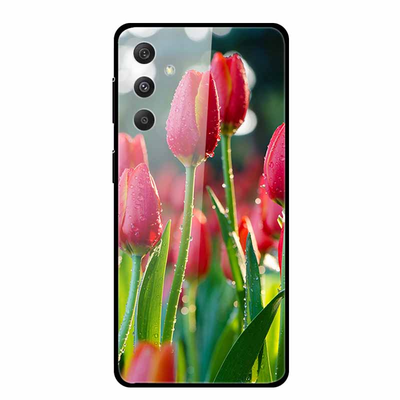 Glass Case For Samsung Galaxy A16 5G Phone Case Soft Bumper Tempered Glass Hard Back Cover For Samsung Galaxy M55 S25 Plus Case