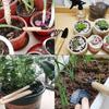 3Pcs/Set Mini Gardening Tools Set | Portable Shovel & Rake Kit with Wooden Handles for Indoor Planting,  Soil Loosening