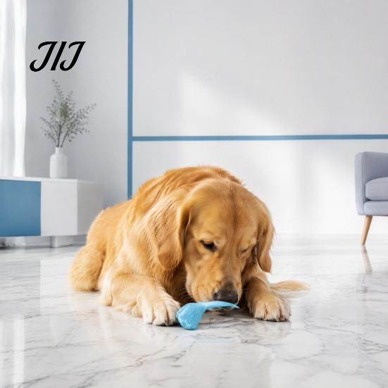 Interactive Pet Play Toys Simulated Chicken Wing Dog Chew Toy, Puppy Molar Teeth Cleaning Toy for Small Medium Dogs Stress Relief Training Oral Health