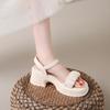 Fairy Wind Sandals Female Summer New Small Thick Sole One-word Buckle Pleated Beach Shoes Female