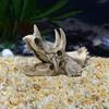 Resin Simulated Dinosaur Skull Decorative Animals Skull Decoration Fish Hiding House  Fish Tank