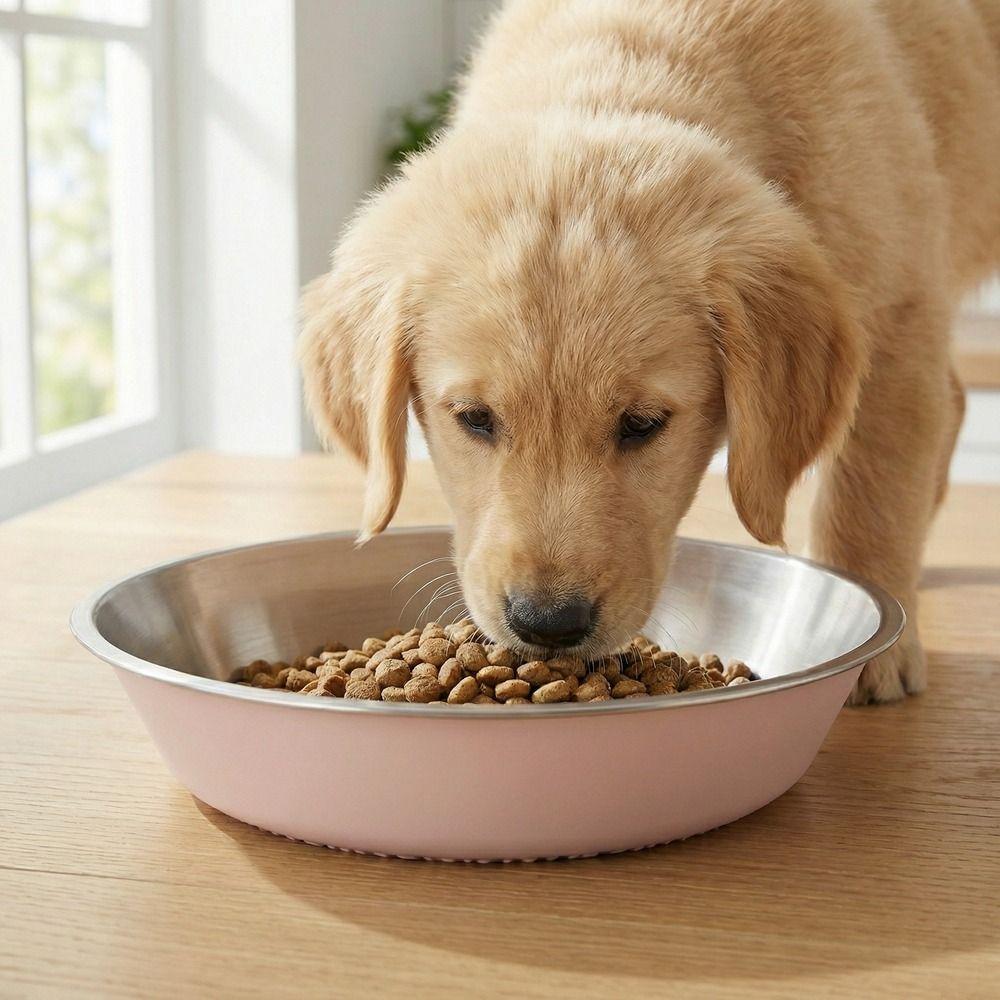 Wide Mouth Cat Food Bowls Anti-Tip Dog Food Dish Stainless Steel Dog Bowl Pet Drinking Feeding