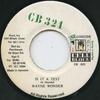 7inch Record WAYNE WONDER - Is It A Test CB003 Cell Block 321 1994 Jamaica Reggae, Ska & Dub Used