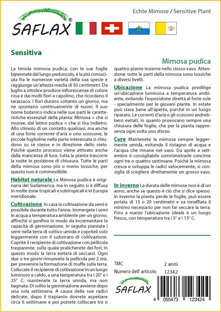 SAFLAX Sensitive Plant - 70 семян - С горшечным субстратом для лучшего выращивания - Mimosa pudica