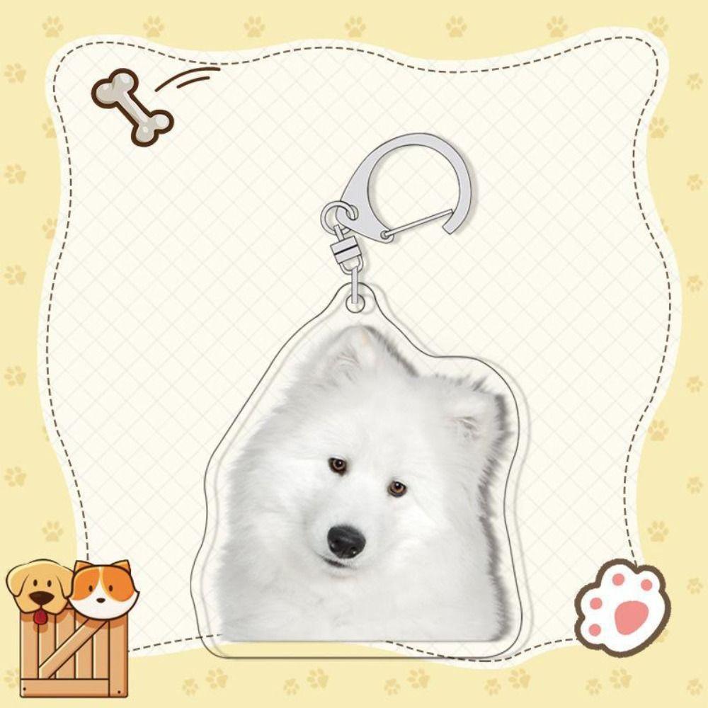 Samoyed Labrador Puppy Pendant Husky Acrylic Corgi Keyring Border Collie Dog Keychain  Unisex