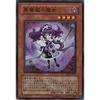 Yu-Gi-Oh! ABPF-JP012-SR "Black Rose Witch" Super