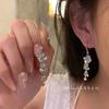 Micro-inlaid zircon long fringed earrings women's light luxury stud earrings personalized earrings