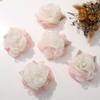 5PCS Multilayer Cloth Applique 3D Jewelry Accessories Organza Flower Cloth Patches Dress Decoration