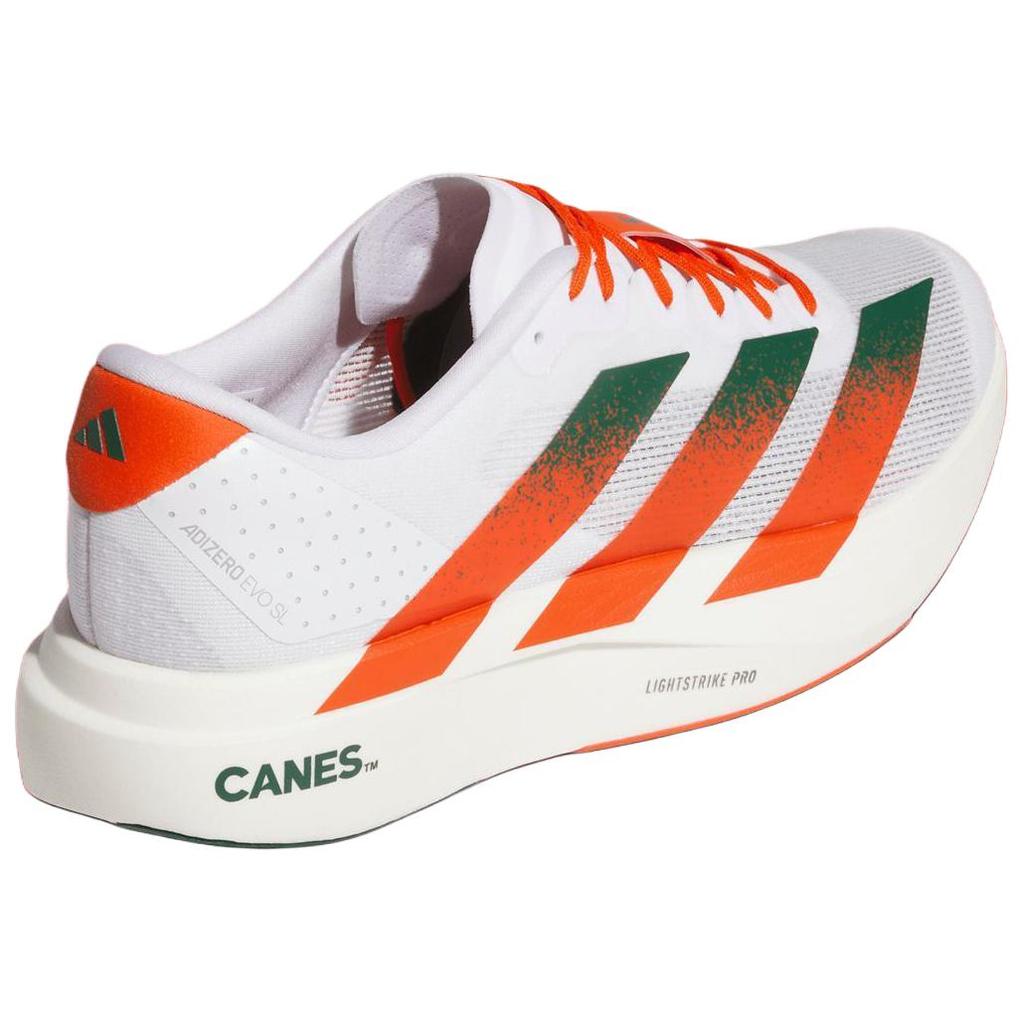 NCAA x adidas Adizero Evo SL Miami Мужские Кроссовки Белый Обувь-Белый Темно-Зеленый JQ2148