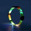 new trend waterproof LED glowing dog collar large, medium and small universal pet collar leash dog leash factory direct sales