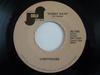 7-дюймовая пластинка LIGHTHOUSE Sunny Days JG706 JANUS RECORDS 1976 US Rock Б/у