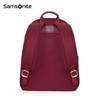 Samsonite TT3 Computer Backpack
