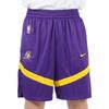 Nike Баскетбольные шорты мужские темно-фиолетовые DZ3722-504