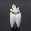 Tooth Shape Ceramic Flower Pot Green Succulent Planter Cactus Container Decor