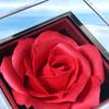 Eternal Rose Rose Jewelry Gift Box Ring Display Jewelry Display Rack  for Girlfriend and Mom Gift