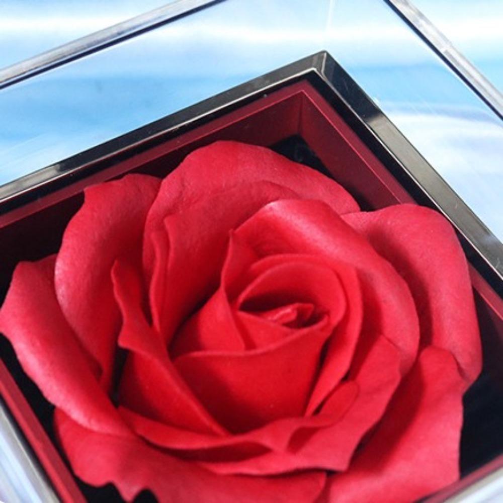 Eternal Rose Rose Jewelry Gift Box Ring Display Jewelry Display Rack for Girlfriend and Mom Gift