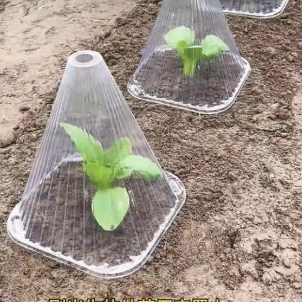 20 шт. ветрозащитный чехол для рассады растений конический защитный чехол для цветов изоляционный чехол для растений защита от заморозков