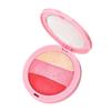 Blush Makeup Natural Baked Blusher Powder Palette Charming Cheek Makeup Face Blusher Cosmetic