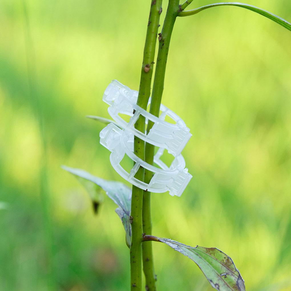 100 Pieces Plant Support Clips Round 2.5mm Growing Greenhouse Vegetable Fruit Ties Branch Stake Fastener Frame Buckle