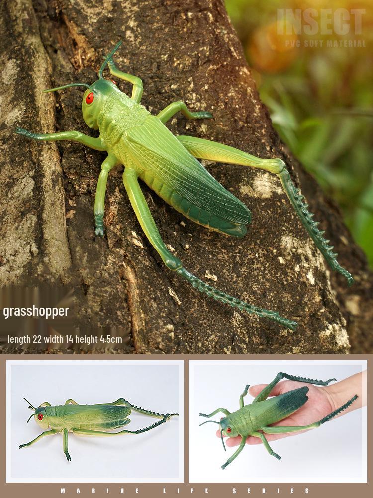 Large Insect and Reptile Toy Models: Scorpion & Spider Simulation