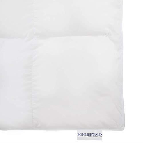 Couette - böhmerwald - 309601-11 - 135 x 200 cm - duvet d'oie blanche - hauteur 4 cm