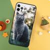 Чехол для телефона Британская короткошерстная кошка Для iPhone 17 16 14 13 12 11 15 Pro Max 12 13 Mini 16E 17 Air Ударопрочный чехол